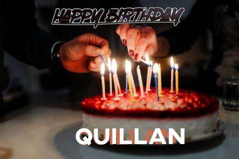Quillan Cakes