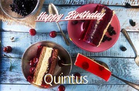 Happy Birthday Quintus Cake Image