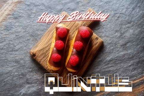 Quintus Birthday Celebration