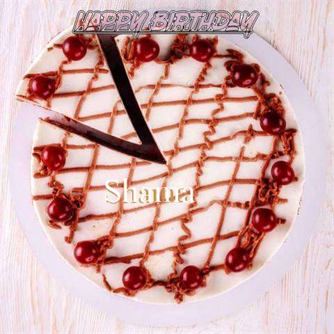 Shama Birthday Celebration