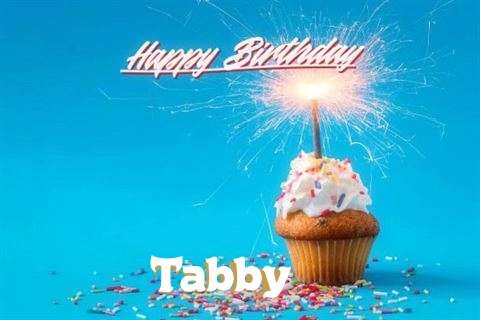 Happy Birthday Wishes for Tabby