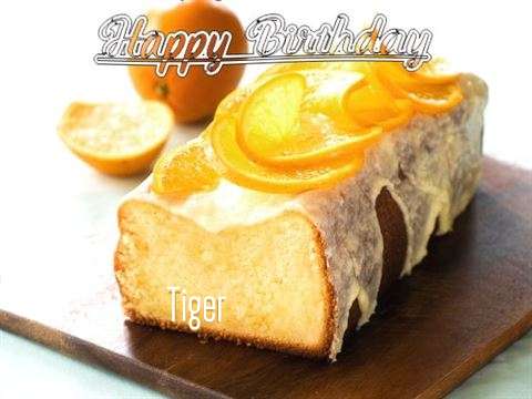 Tiger Cakes