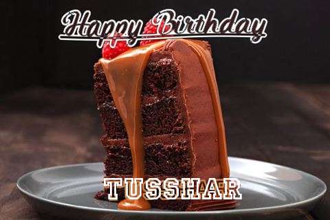 Tusshar Cakes