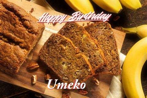 Happy Birthday Wishes for Umeko