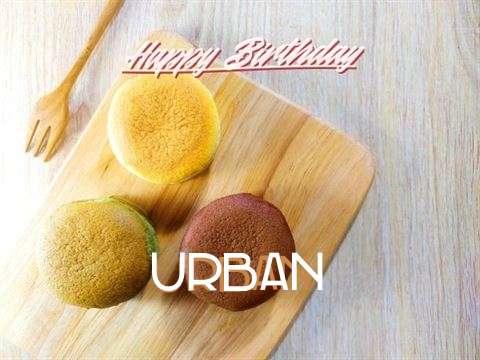 Urban Birthday Celebration