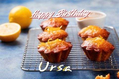 Birthday Wishes with Images of Ursa