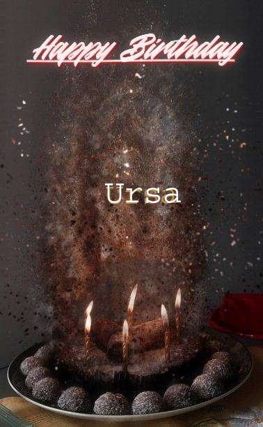 Happy Birthday Cake for Ursa