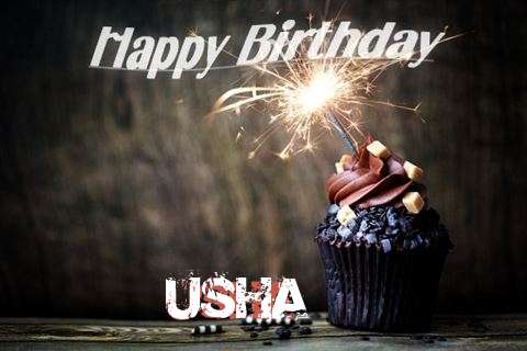 Usha Cakes