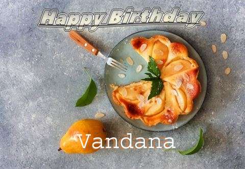 Vandana Cakes