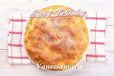 Vanessamarie Birthday Celebration