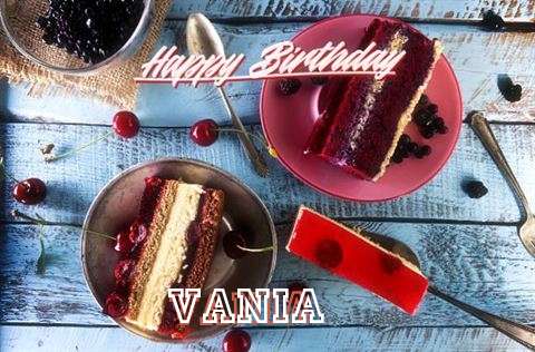 Vania Birthday Celebration