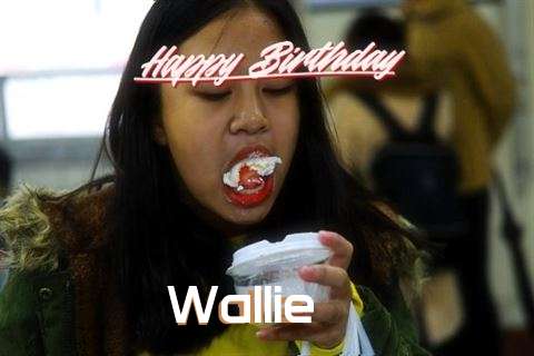 Birthday Wishes with Images of Wallie
