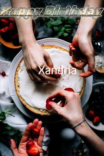 Xandria Birthday Celebration