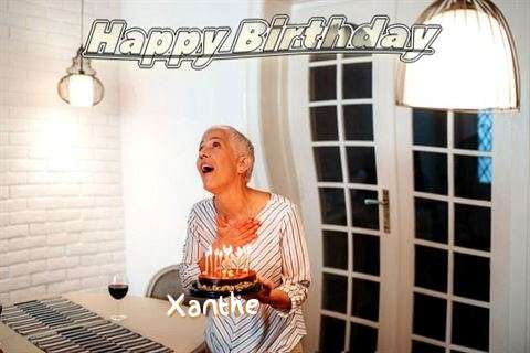 Xanthe Birthday Celebration