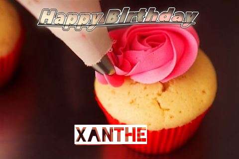 Happy Birthday Wishes for Xanthe