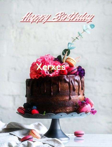 Xerxes Birthday Celebration