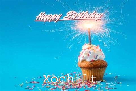 Happy Birthday Cake for Xochilt