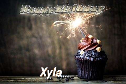 Wish Xyla