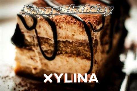 Xylina Birthday Celebration