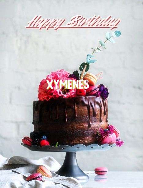 Xymenes Birthday Celebration