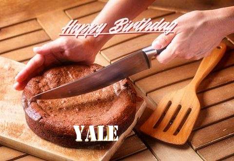 Happy Birthday Wishes for Yale