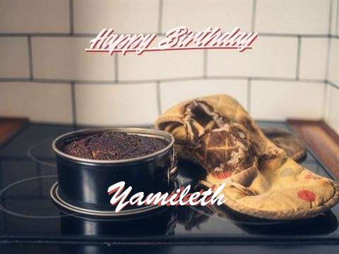 Happy Birthday Yamileth Cake Image