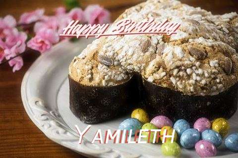 Happy Birthday Cake for Yamileth