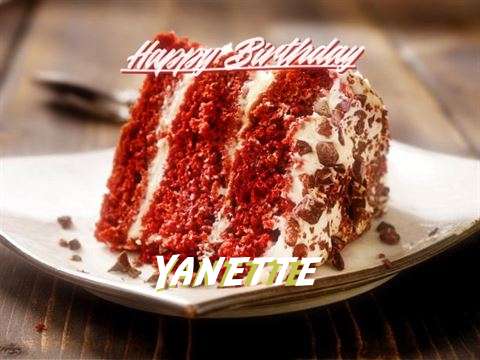 Yanette Cakes