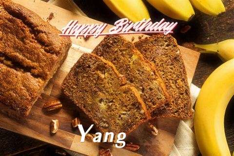 Happy Birthday Wishes for Yang
