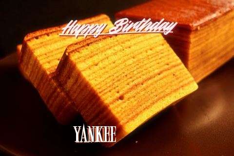 Wish Yankee
