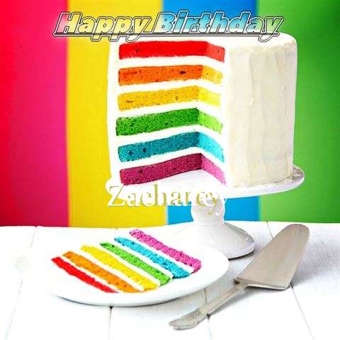 Zacharey Birthday Celebration