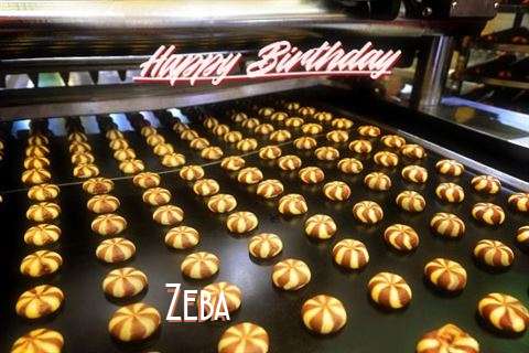 Happy Birthday Zeba