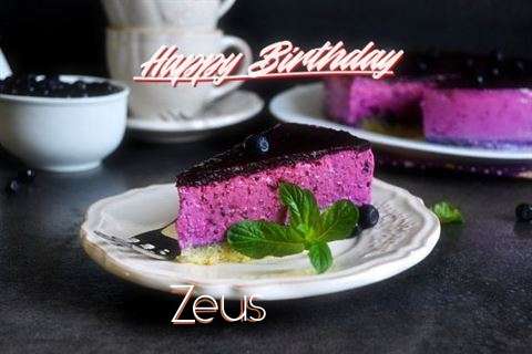 Zeus Birthday Celebration
